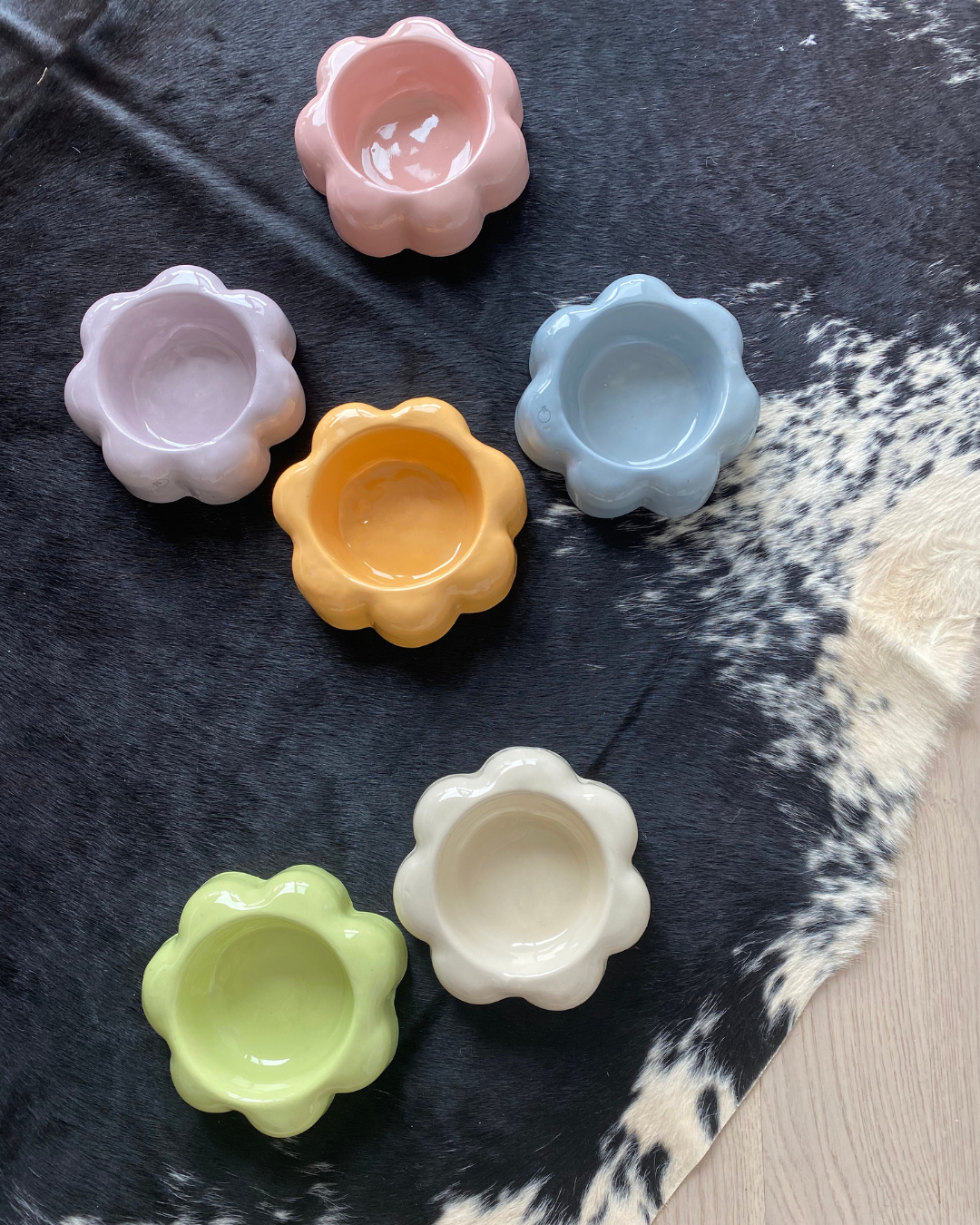 Dog Bowls